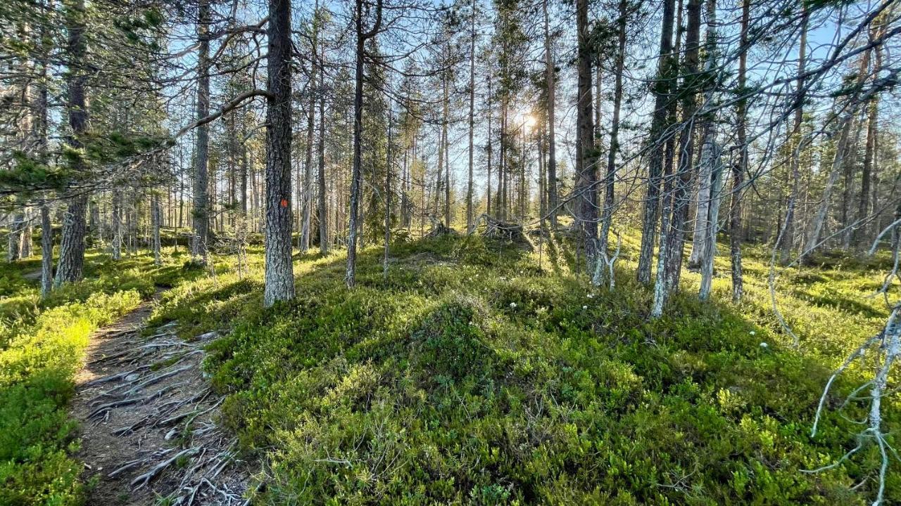 Готель Lapiosalmi Wilderness Center Посіо Екстер'єр фото